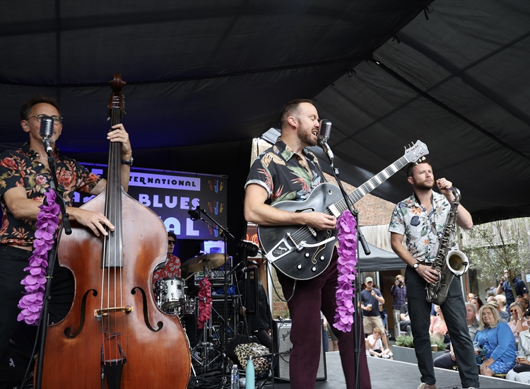 THE VIOLET JIVE - OUTDOOR STAGE