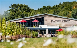 BALFOUR WINERY