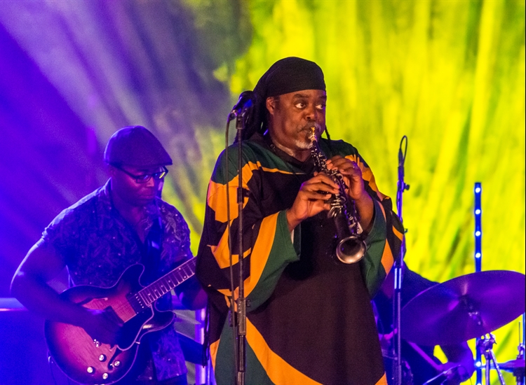 COURTNEY PINE